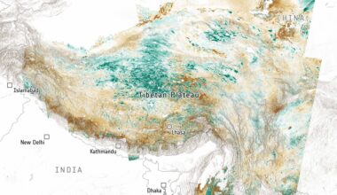 Tibetan Plateau vertical ground displacement