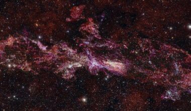 The Milky Way's Central Molecular Zone (CMZ) surrounds our galaxy's supermassive black hole and may share characteristics with the dense and chaotic galaxies of the early universe. This is the largest-ever image taken by the ALMA telescope in Chile.