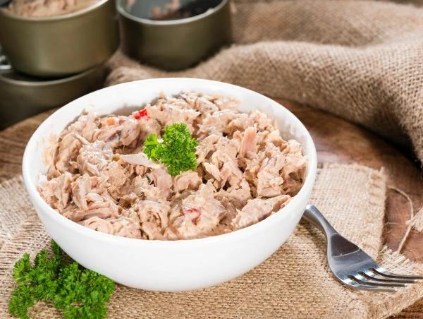 United Kingdom's Preserved Tuna Market Forecast Shows Modest 0.7% CAGR Volume Growth Through 2035 - News and Statistics