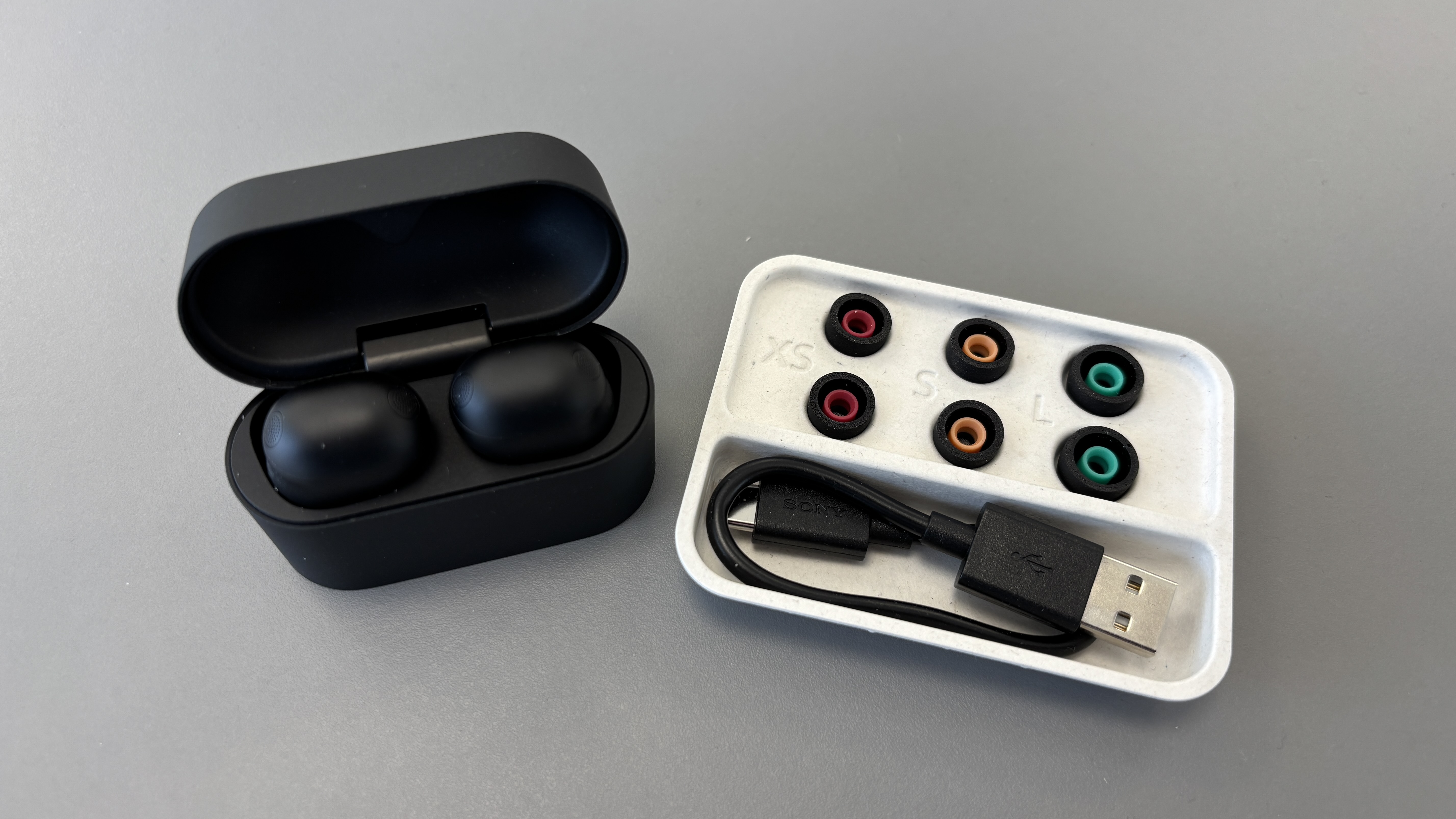 Sony WF-1000XM6 wireless earbuds in black next to their eartips and USB charging cable
