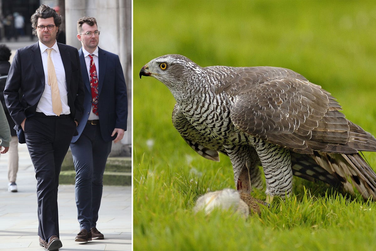 Reality star in £500k court fight after noisy building work scared Cornish neighbour’s prize falcons to death
