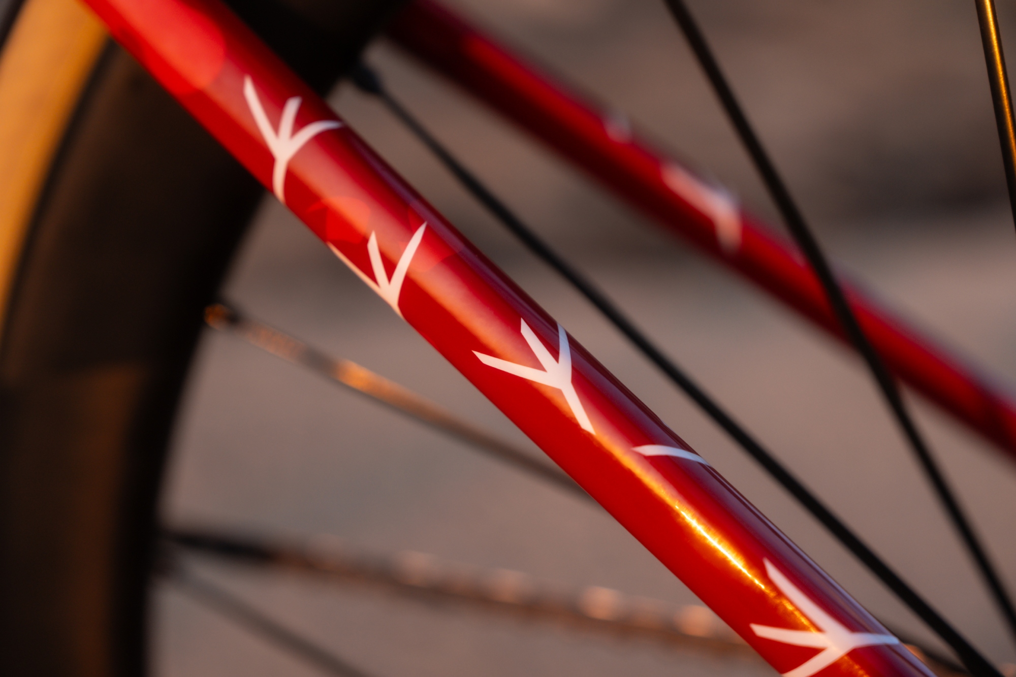 Alison Jackson's special-edition fifth-gen Cannondale SuperSix Evo