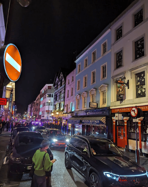 Thief stole handbag in Soho containing Faberge egg and watch worth £2million - London Evening Standard