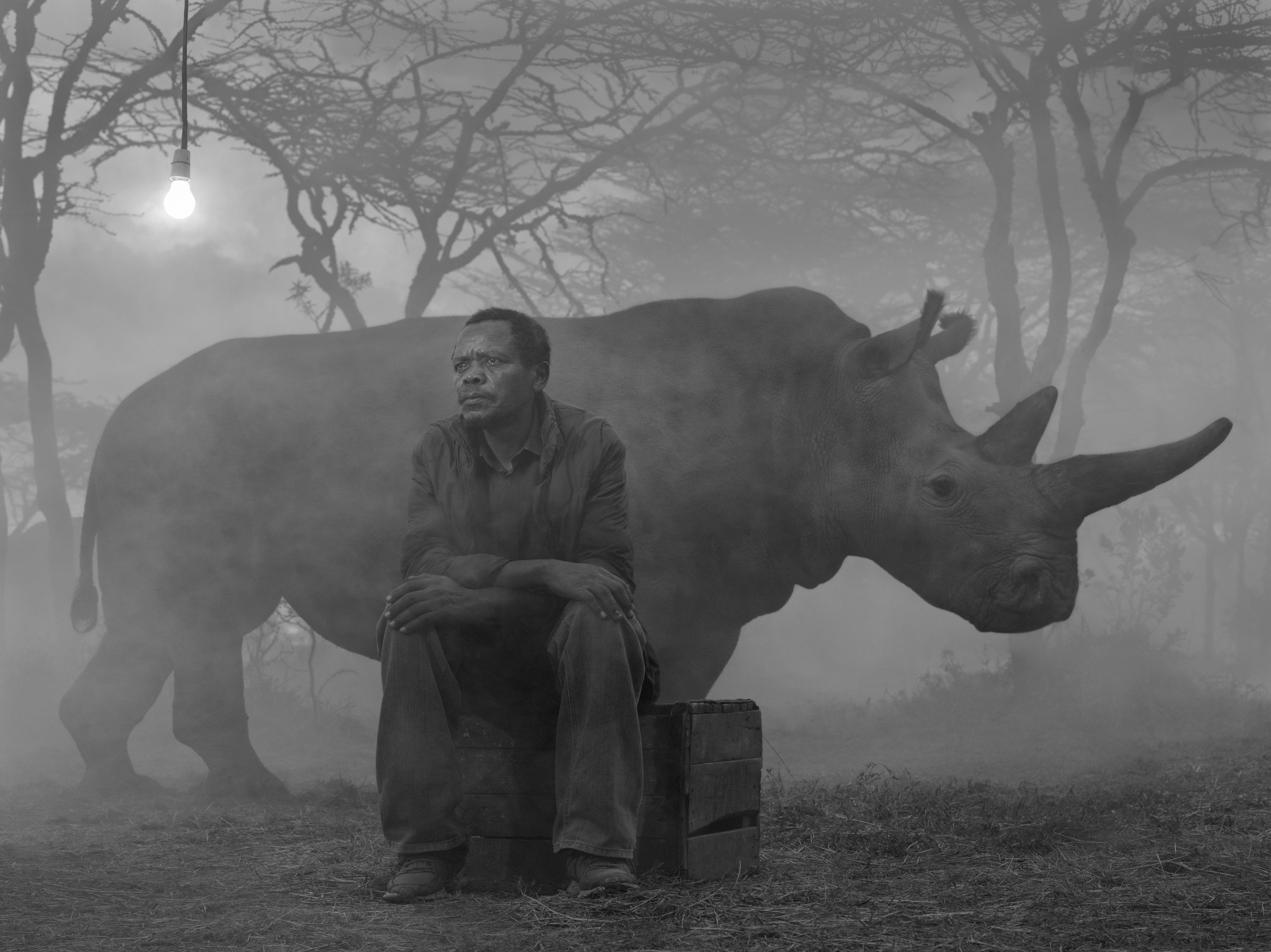 A man sits on a wooden crate in a misty outdoor setting, positioned in front of a large rhinoceros under the glow of a lone lightbulb.