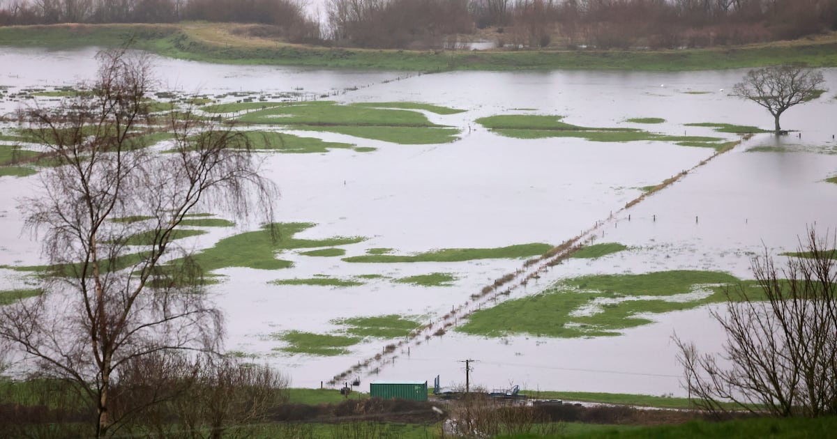 Should Ireland introduce a legal ‘duty of care’ for rainwater? – The Irish Times