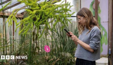 Dr Raphaella Hull holding a black mobile phone, looking at the screen, with plants in front of her. She is wearing a blue top, has dark trousers on, glasses and long dark hair.