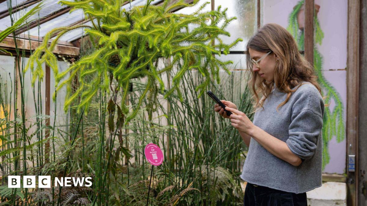 Dr Raphaella Hull holding a black mobile phone, looking at the screen, with plants in front of her. She is wearing a blue top, has dark trousers on, glasses and long dark hair.