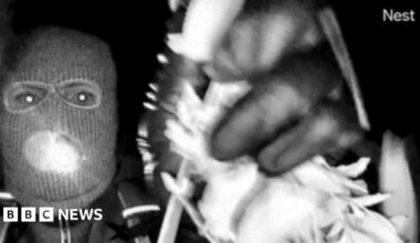 A black and white images of a masked person, that show the person at night in gloves, with what appears to be a small flashlight held between their teeth, andcovering the camera with what appears to be branches.