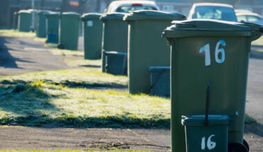 3 everyday items you can start recycling after household bins rule change in March