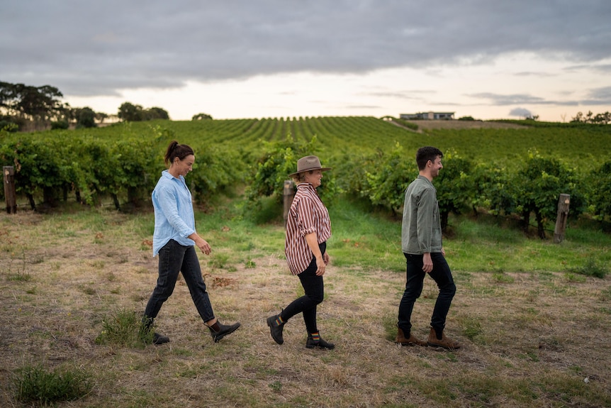 A side shot of two women and a man walk one after the other in front of a vineyard.