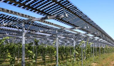 Rebekah Pierce is helping reshape how people think about farmland, promoting what she calls "agri-energy" to help farmers and the planet.