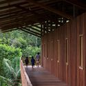 © Leonardo Finotti Sacred Yawanawa Village / Rosenbaum - Interior Photography, Wood