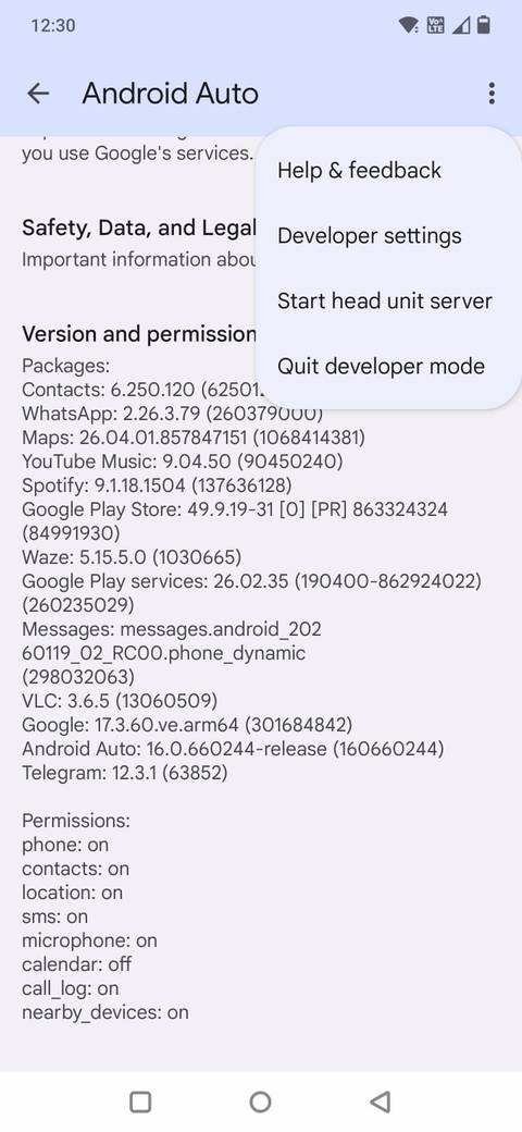 Screenshot showing the Developer settings option in Android Auto