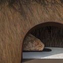 Courtesy of Aranyani Aranyani Pavilion / Tara Lal + T_M.space - Image 5 of 16