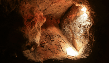 Archaeologists Discover Mysterious Collections Of Animal Skulls In Neanderthal Cave