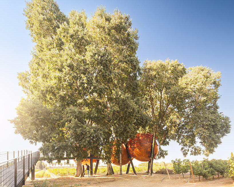 rebelo de andrade's spherical 'átomos' cabins float over portuguese vineyard