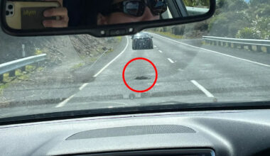 Native Aussie animal taking over New Zealand becomes strangely supersized: 'Rivals sheep population'