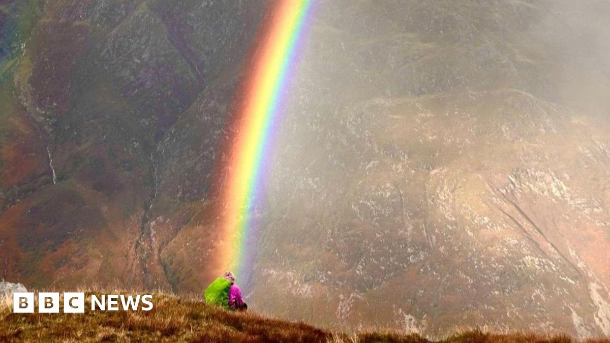 A short-eared owl in flight, low over grassland.