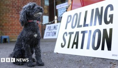 A miniature black poodle sits at a polling station in Cambridge, Britain, on 1 May 2025.