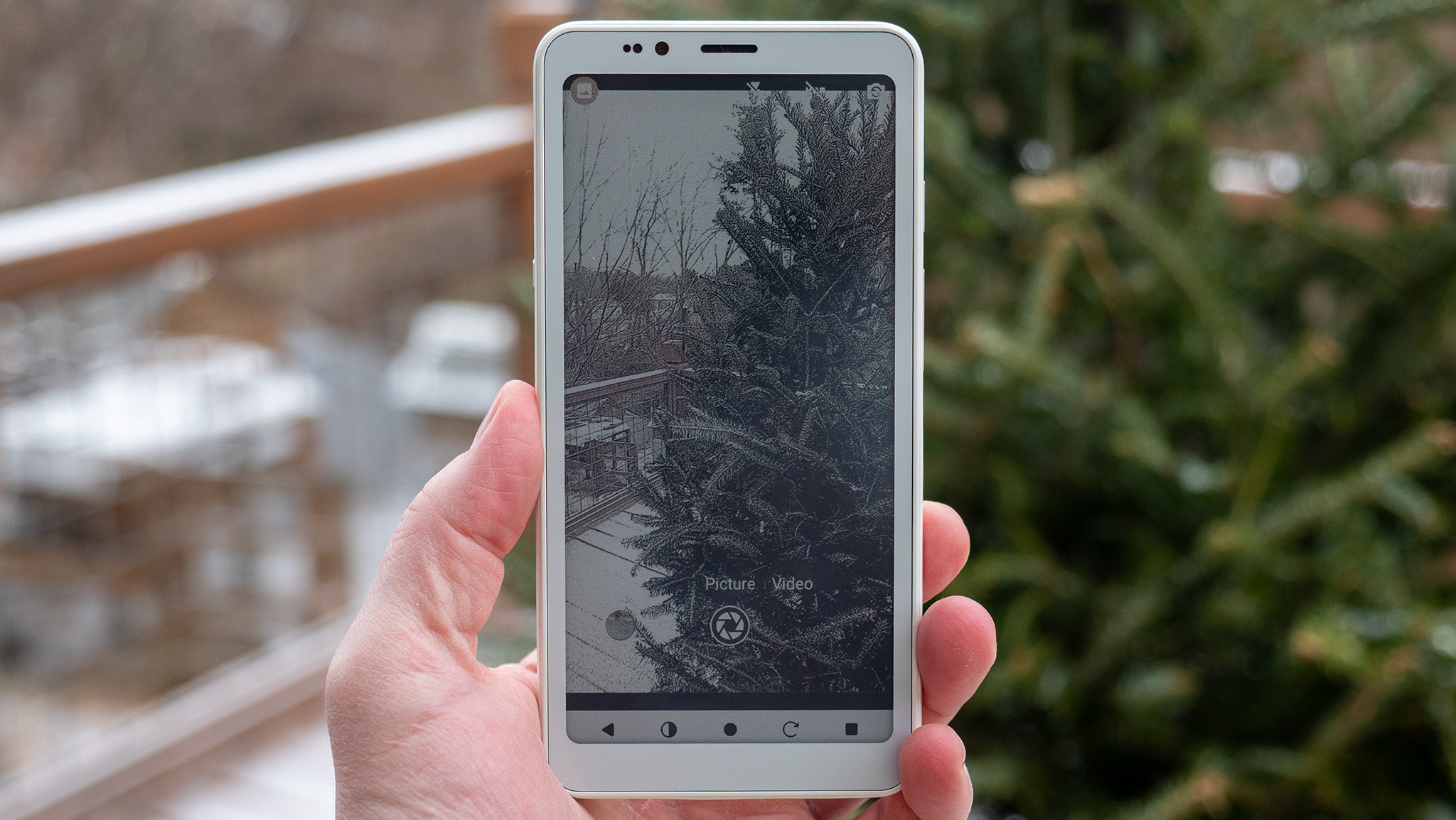 Taking a picture of a pine tree on a Bigme HiBreak S Color