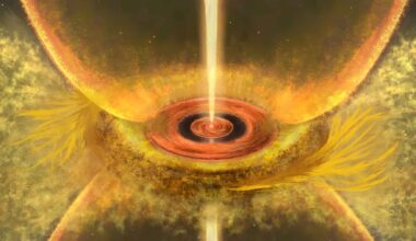 ALMA image of a protoplanetary disk showing rings and gaps shaped by forming baby planets
