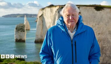 David Attenborough, wearing a bright blue coat, standing in front of cliffs that plunge steeply into a blue ocean on a sunny, cloudy day.