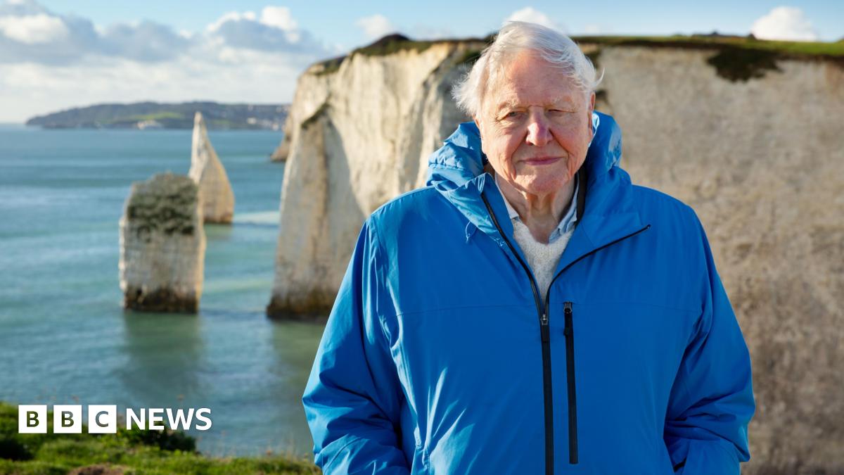 David Attenborough, wearing a bright blue coat, standing in front of cliffs that plunge steeply into a blue ocean on a sunny, cloudy day.