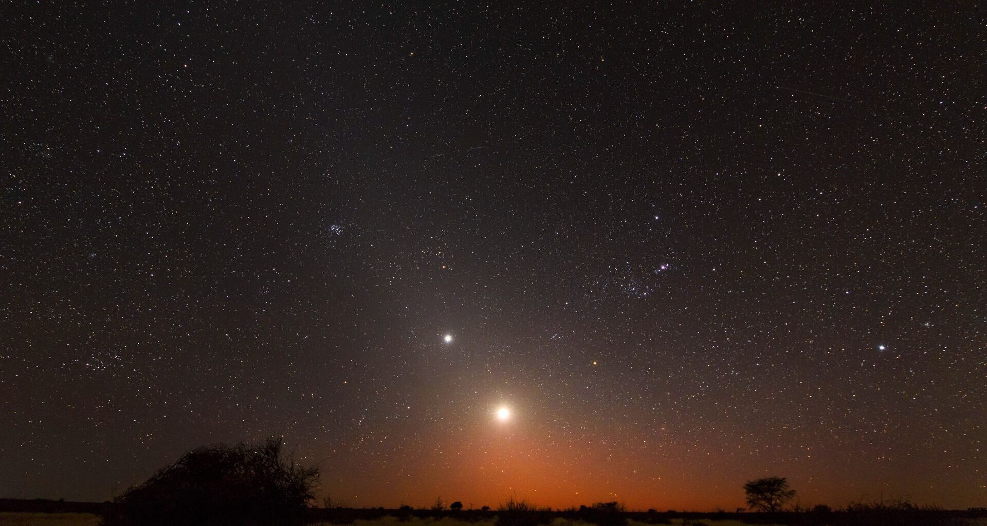 A glowing ball of light hovers over the horizon, creating a brilliant orange night sky studded with stars with silhouettes of trees below
