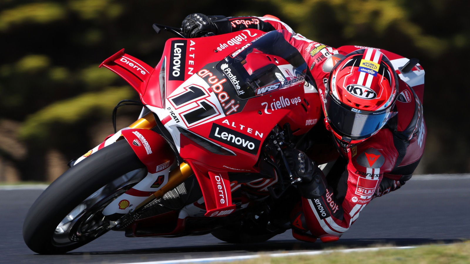 Nicolo Bulega, 2026 Phillip Island WorldSBK Test (Gold&Goose).