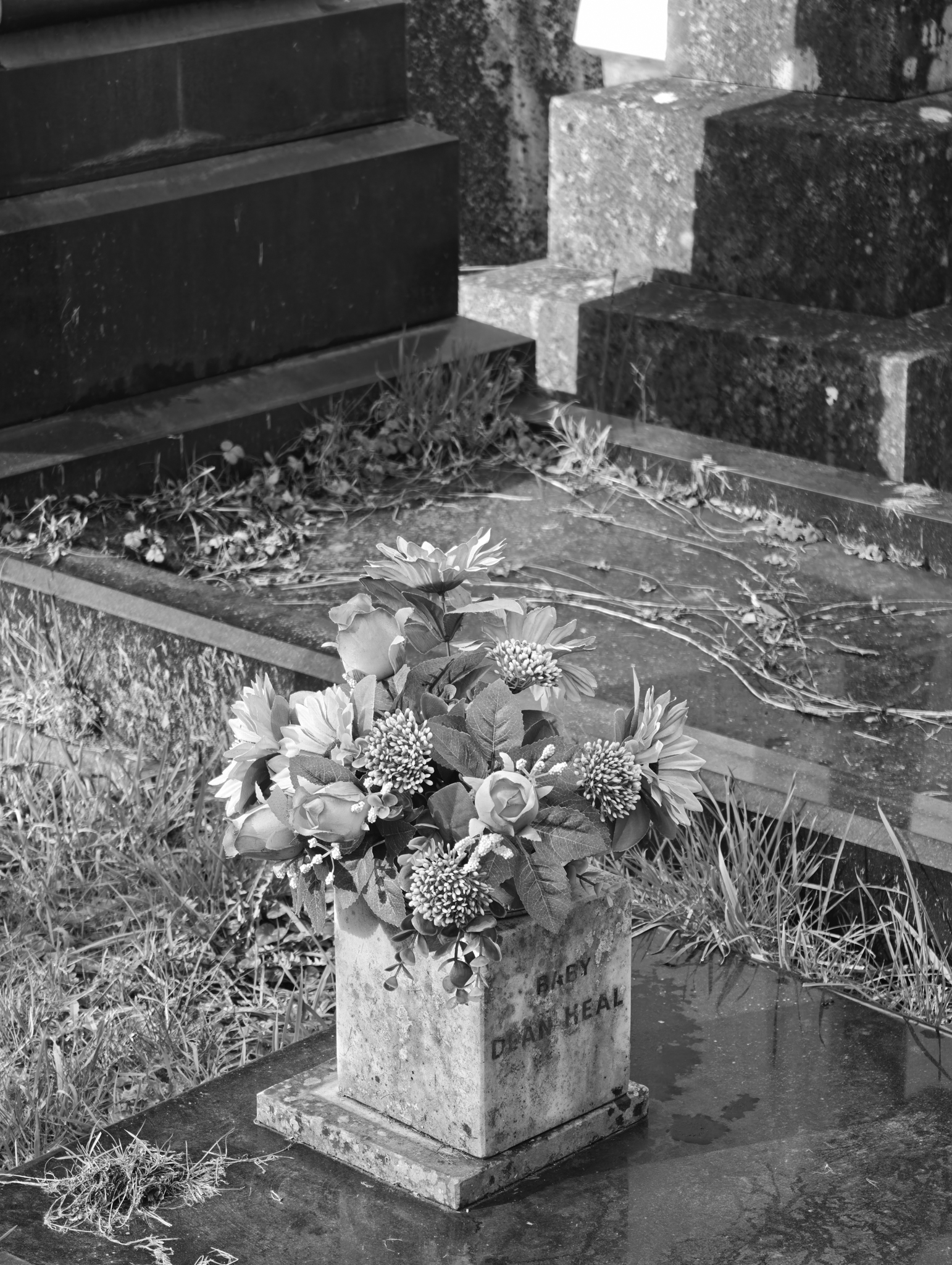 A photo taken on a Leica Leitzphone 200MP smartphone camera