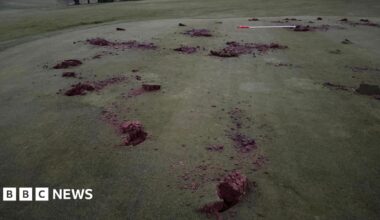 A vandalised green at Royal Eastbourne Golf Club, Numerous holes have been dug in it.