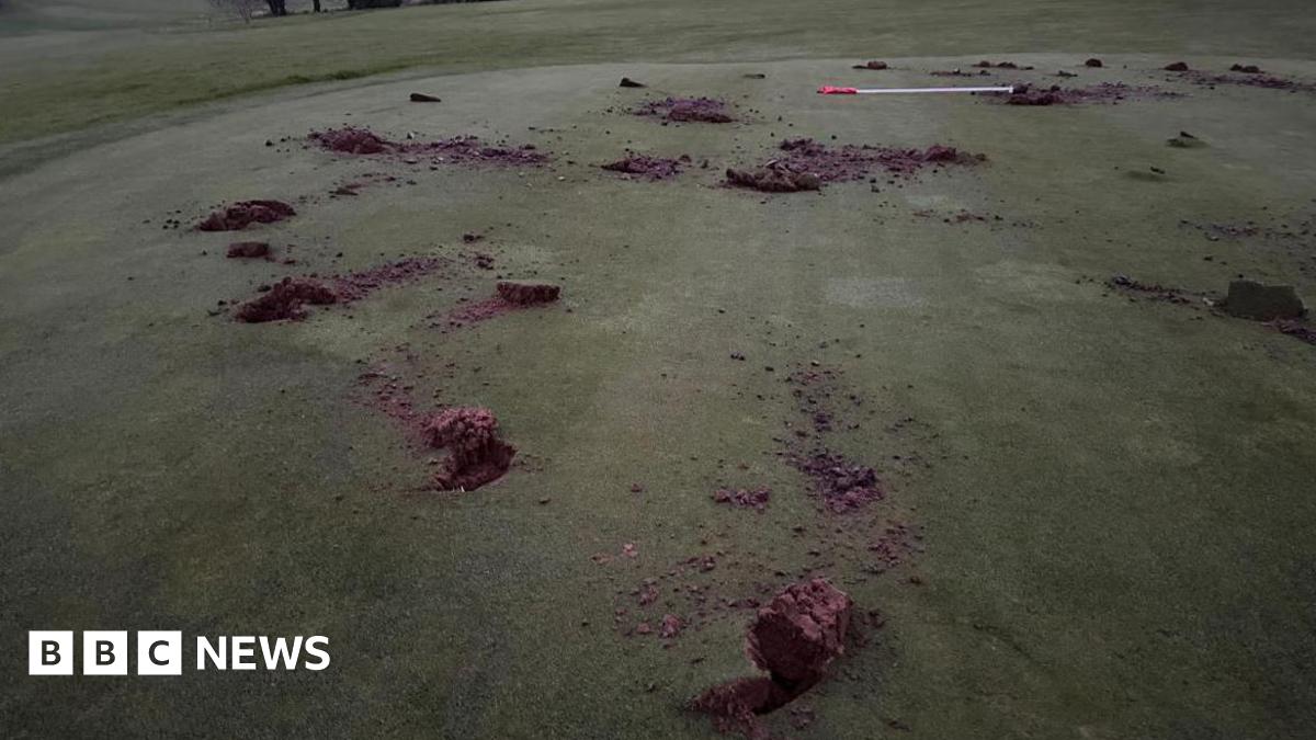 A vandalised green at Royal Eastbourne Golf Club, Numerous holes have been dug in it.