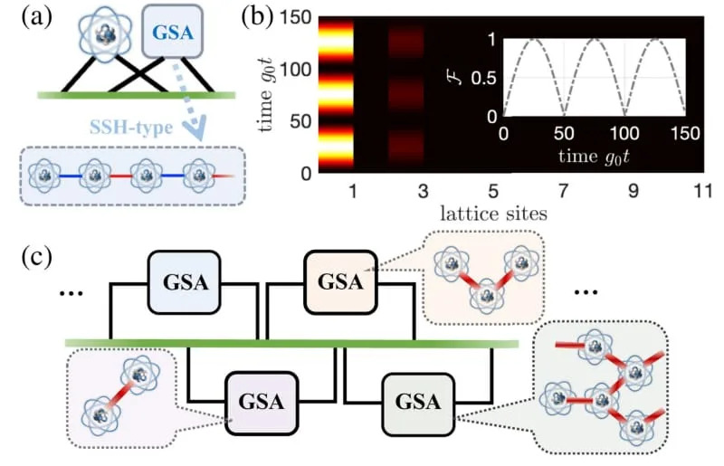Schematic of an extended braided structure, where a giant atom is braided with an SSH-type GSA. (CREDIT: Physical Review Letters)