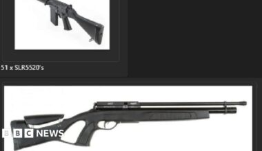 Black and white images of two rifles