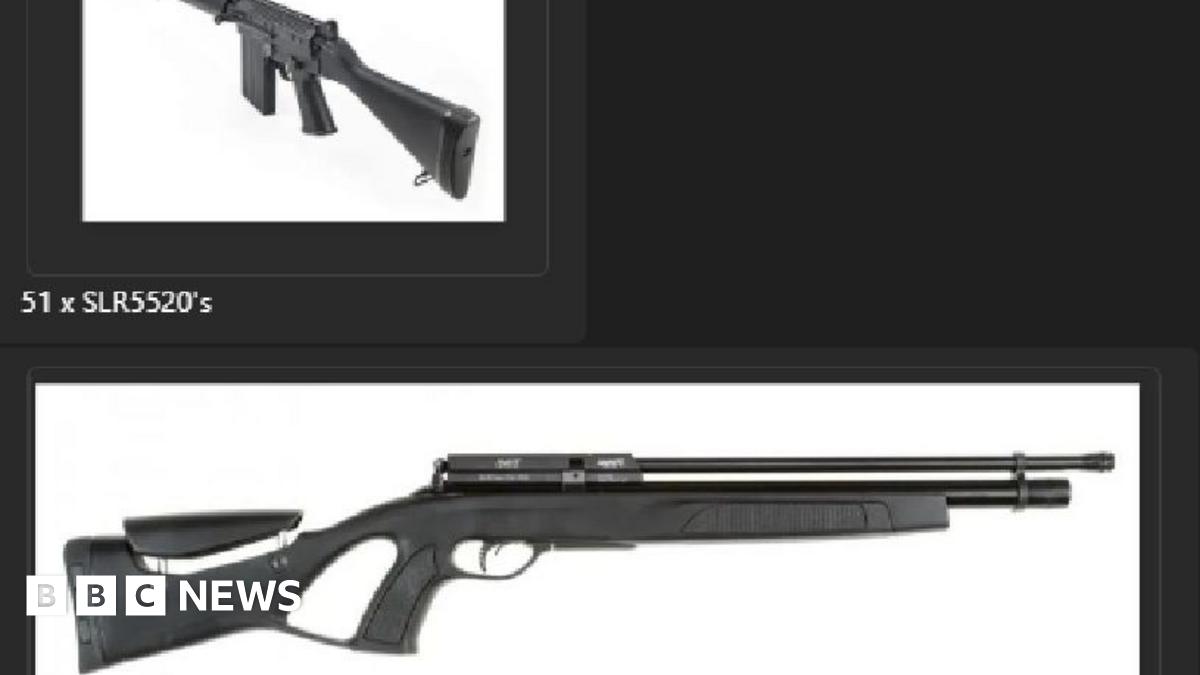 Black and white images of two rifles