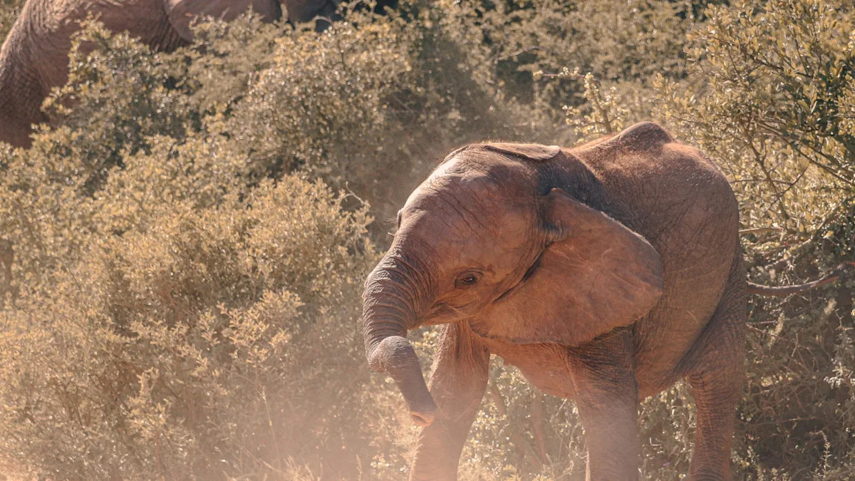 Baby Elephant Wakes Up Every Day and Chooses Chaos, and We're Obsessed