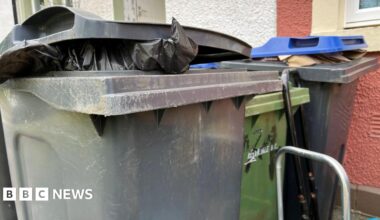 A black general waste bin is filled with rubbish. There are green bins and recycling bins which are both full. They are lined up outside a house.