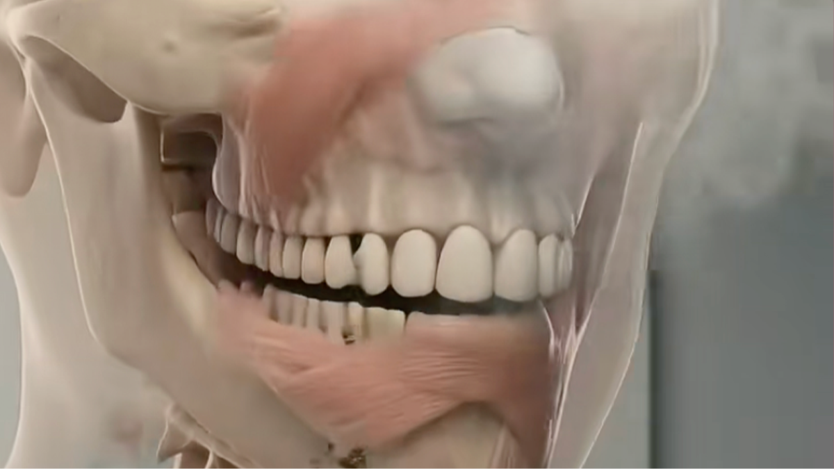 Chilling simulation shows exactly what happens to your body when you smoke weed every day