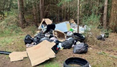 Culprit tracked down and punished for 'worst-ever' dump in New Forest | News UK