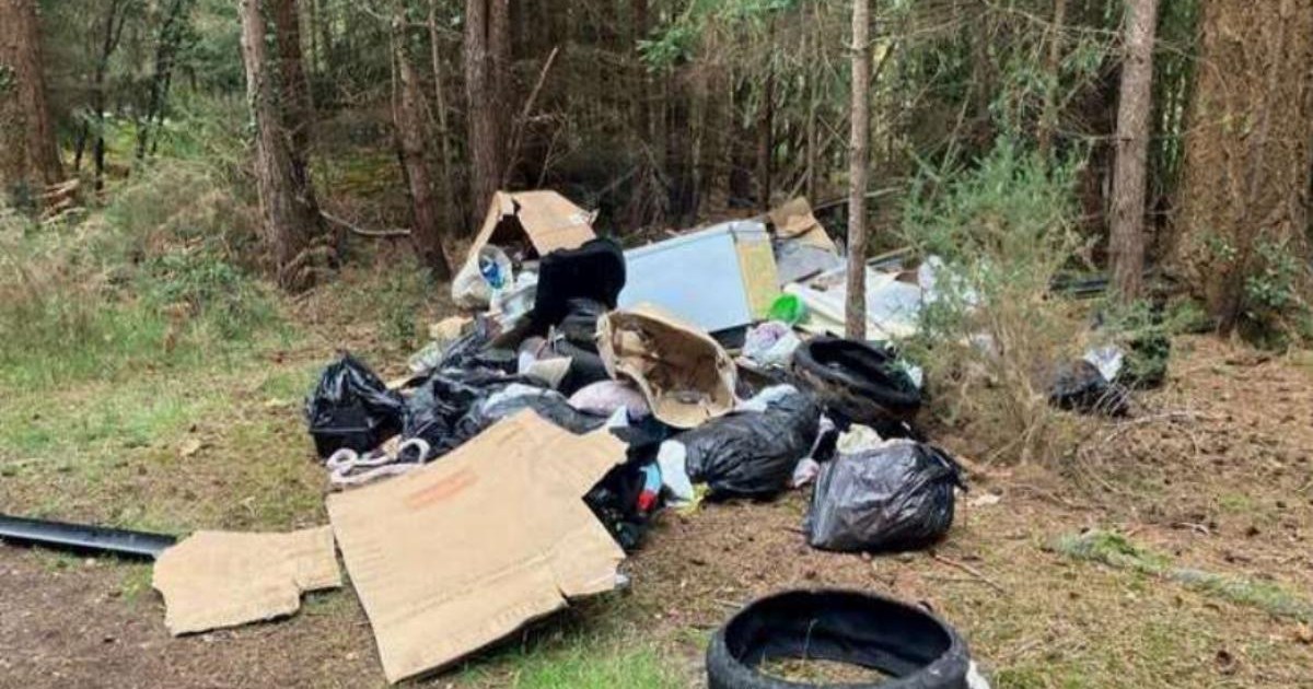 Culprit tracked down and punished for 'worst-ever' dump in New Forest | News UK