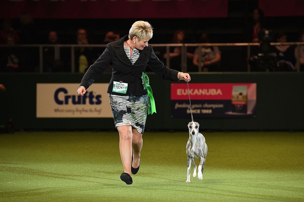 Crufts