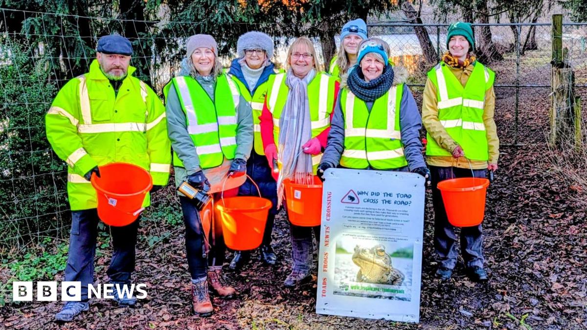 A group of people in yellow high vis jackets in a wooded area. They are holding orange buckets and holding a toad based sign.