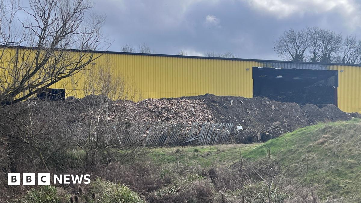 Picture of Lando Norris, Alexandra Saint Mleux, Lisa, Lewis Hamilton, Serena Williams, Charles Leclerc and Kim Kardashian