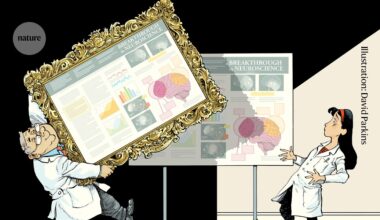 What can I do if my idea has been plagiarized?