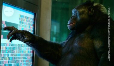 This bonobo had a pretend tea party — showing make believe isn’t just for humans