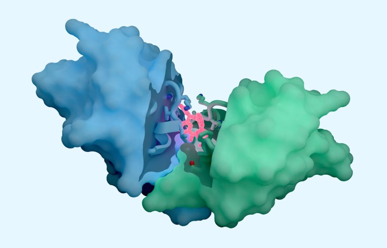 A computer generated visualisation of the structure of a protein-protein interaction prediction.