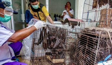 what we do and don’t know