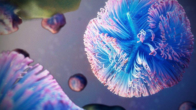 An illustration of mimivirus, shown in pink and blue colours