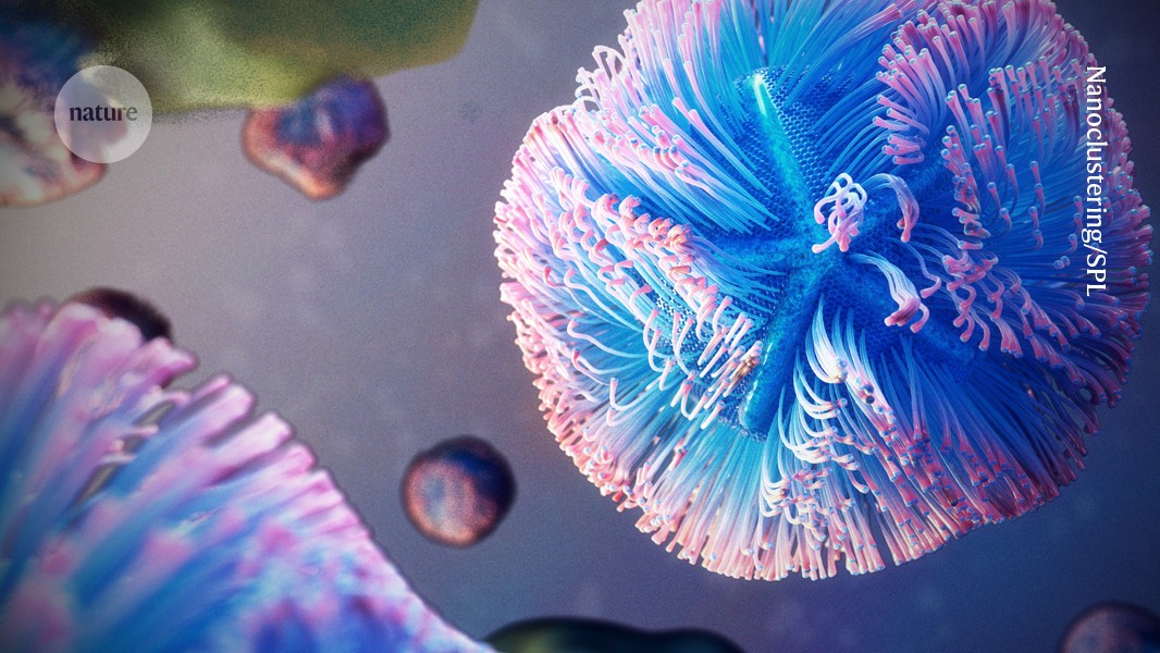 This giant virus hijacks cells’ protein-making machinery to multiply wildly