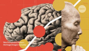 China is waging war on Alzheimer’s. What can its approach teach the rest of the world?